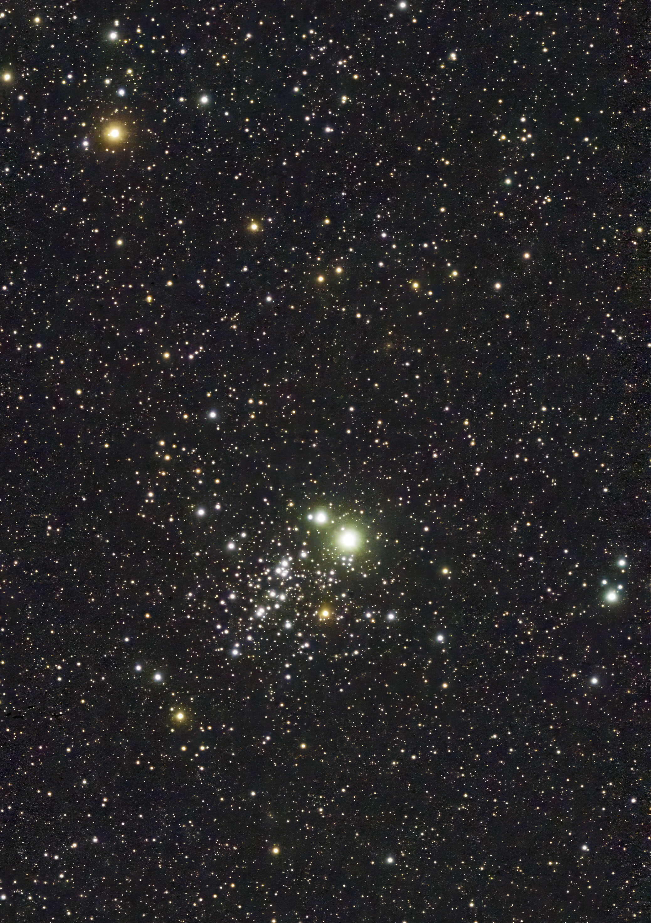 Owl Cluster